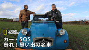 カー・SOS 蘇れ！思い出の名車