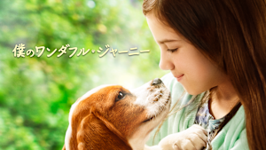 僕のワンダフル・ジャーニー