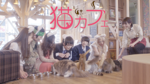 猫カフェ