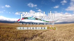 アフリカ　サファリツアー大中継