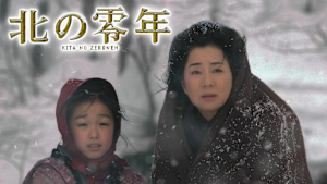 北の零年