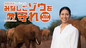 感動地球スペシャル みなしごゾウを守れ 松下奈緒ケニア感動物語