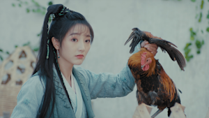 J:COM STREAM 視聴サイト