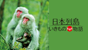日本列島 いきものたちの物語