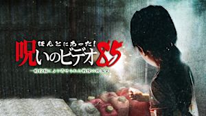 ほんとにあった！呪いのビデオ85 一般投稿により寄せられた戦慄の映像集