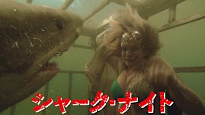 シャーク・ナイト