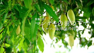 マンゴーの樹の下で