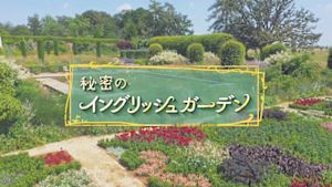秘密のイングリッシュガーデン