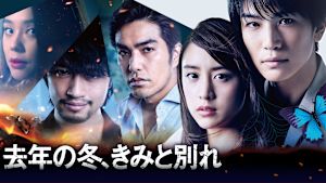 去年の冬、きみと別れ