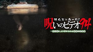 ほんとにあった！呪いのビデオ94 一般投稿により寄せられた戦慄の映像集