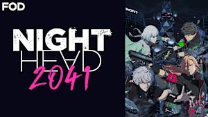 NIGHT HEAD 2041