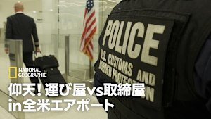 仰天！運び屋vs取締屋in全米エアポート