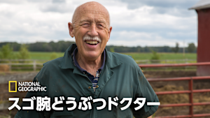 スゴ腕どうぶつドクター