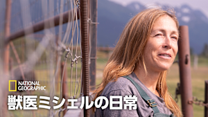 獣医ミシェルの日常
