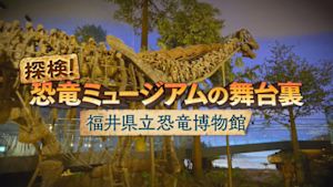 探検！恐竜ミュージアムの舞台裏～福井県立恐竜博物館～