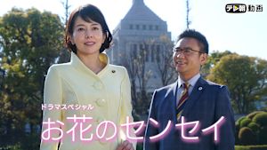 ドラマSP お花のセンセイ