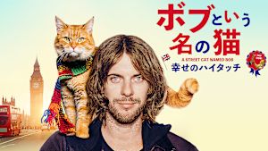 ボブという名の猫 幸せのハイタッチ